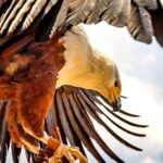 Juan Carlos Loera será gobernador, representa transformación y honestidad: Mario Delgado