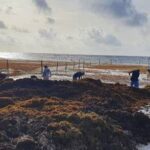 Posible incremento de aforo en playas de Tamaulipas durante el verano