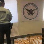 Falsean los datos de Sembrando Vida