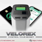 Impulsa Clara Luz Flores colecta de firmas para revocación de mandato