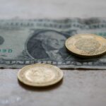 Nacen 3 polluelos de águila real en la reserva de Sierra Gorda en Guanajuato