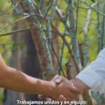 “Santi” Giménez regresa a la senda goleadora en el triunfo del Feyenoord sobre el Heracles