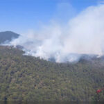 ‘The Fall Guy’ decepciona al recaudar 28,5 mdd