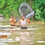 La incógnita del talentoso volante: Tahiel Jiménez, el sucesor de un leyenda, planteará una dura prueba ante la selección albiceleste.