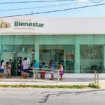 Francia apunta a derrumbar la emperatriz del e-commerce: Shein en el punto de mira por escándalo de muñecos falsificados y peligrosos