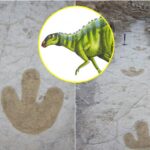 ‘Frieren’ revela imagen clave y fecha de inicio del Arco de Divine Revolte